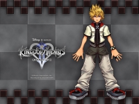 Kingdom Hearts II 03
